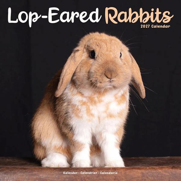 Lop-Eared Rabbits Calendar 2027, Wall Calendars, Month To View, Animals, Gift