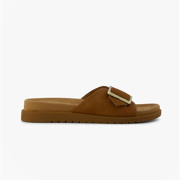 Toms MARIN SLIDE Sliders   in  Brown