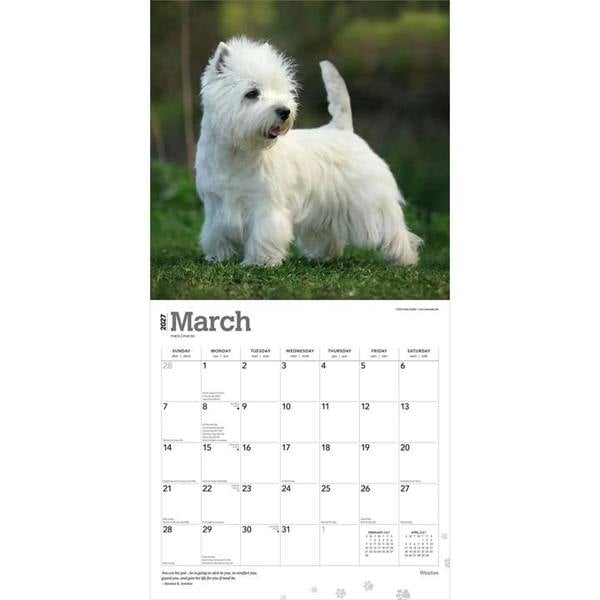 Westies Calendar 2027, Wall Calendars, Month To View, Dogs, Gift