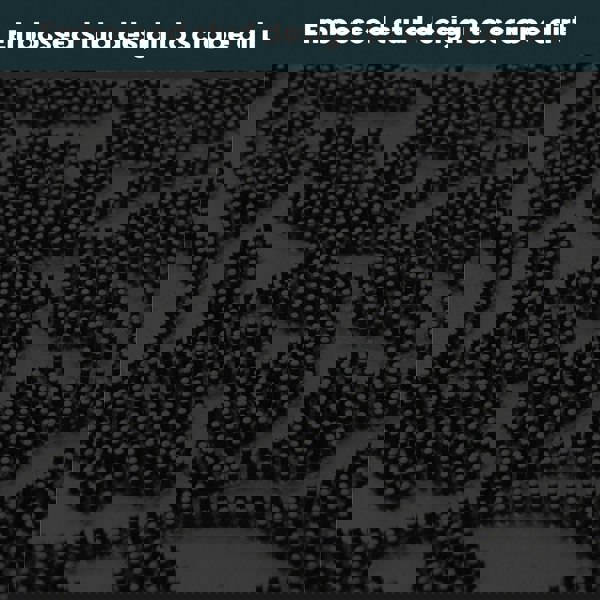 JVL Botany Scraper Rubber Pin Doormat, 40x60cm, Black