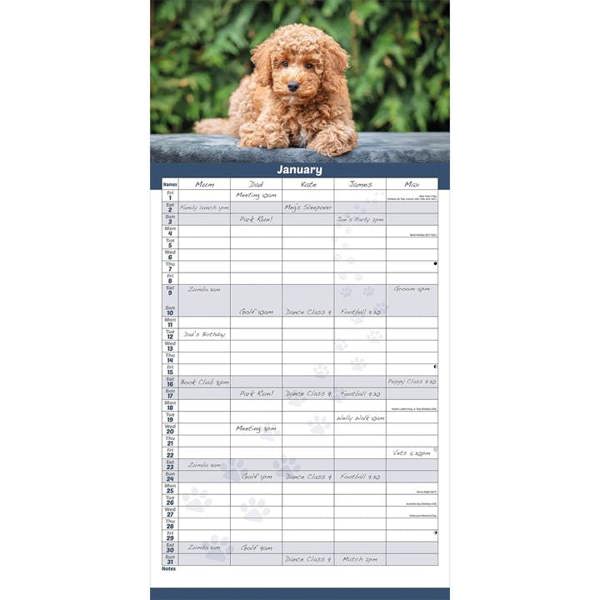 Cockapoo Family Organiser 2027, Family Planners, Month To View, Dogs, Gift