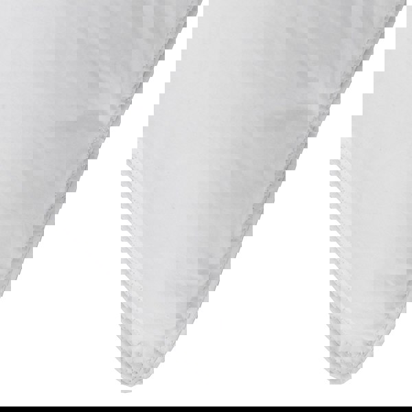 HOMESCAPES Hotel Quality Super Microfibre Pillow Pair