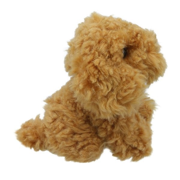 Wilberry Cockapoo - Wilberry Minis