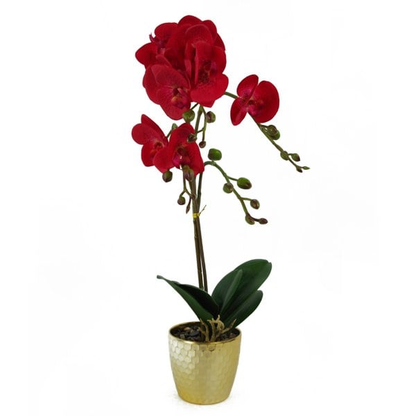 Leaf 50cm Phalaenopsis Orchid Artificial - Red Leopard - Gold Pot