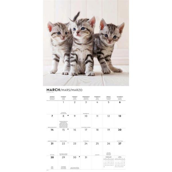 Cute Kittens Calendar 2027, Wall Calendars, Month To View, Cats, Gift