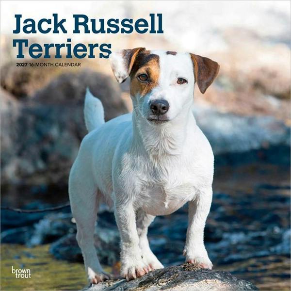 Jack Russell Terriers Calendar 2027, Wall Calendars, Month To View, Dogs, Gift