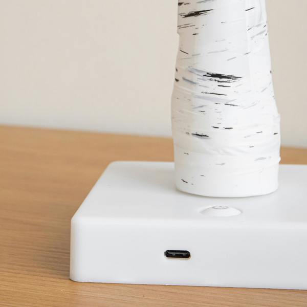 Samuel Alexander 60cm Battery Powered Light Up Christmas Birch Tree with 24 Warm White LEDs
