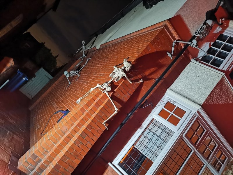 Samuel Alexander 90cm (3ft) Posable Full Body Halloween Skeleton Decoration with Movable Joints