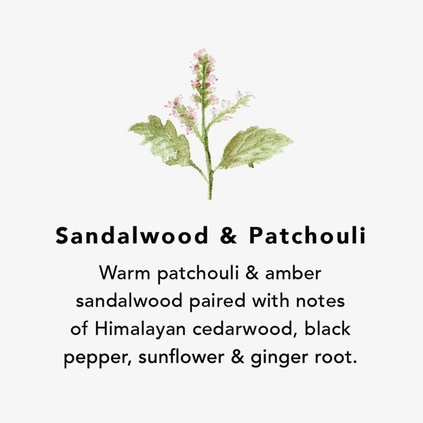T. H. Baker Northern Lights Sandalwood & Patchouli Wax Melts Jar NL128