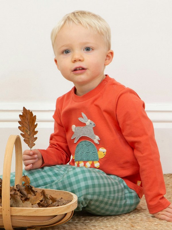 Kite Boys Organic Hare And Tortoise T-Shirt