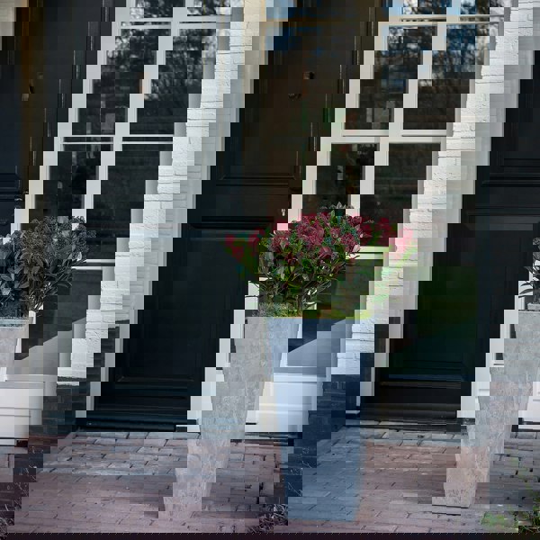 #color_grey
