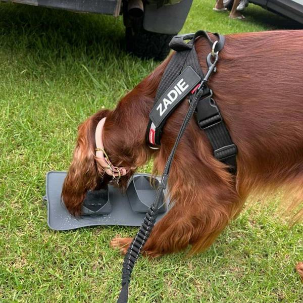 EzyDog Roll-a-Bowl 2-in-1 Silicone Dog Travel Bowl