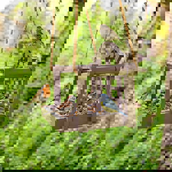 smartbies Swing Seat Bird Feeder for Small Birds – Washable & Hygienic