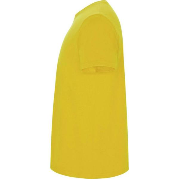 Roly Childrens/Kids Stafford T-Shirt - Yellow - 