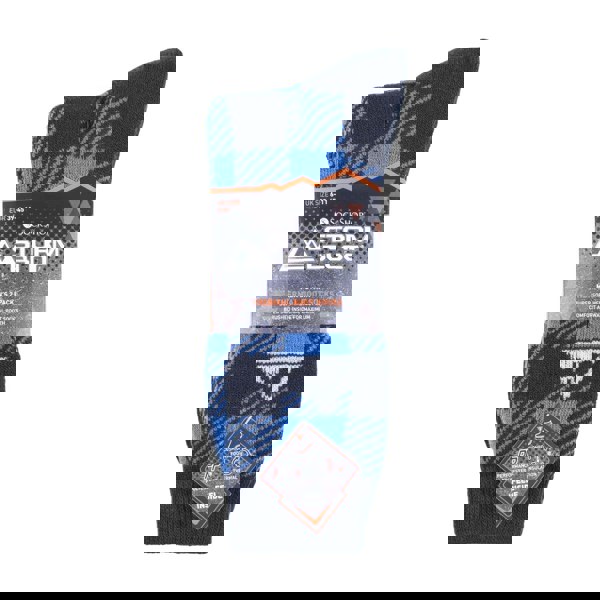 t4option1_1