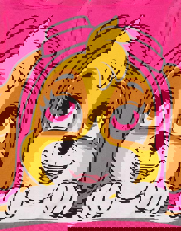 Paw Patrol Girls Pink Skye Hoodie