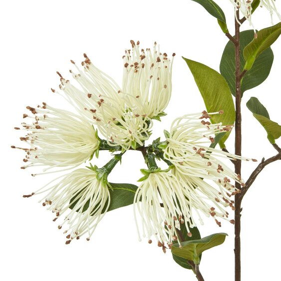 Wyld Haus Set of 3 Artificial Flowers Cream Protea Nitida Sprays