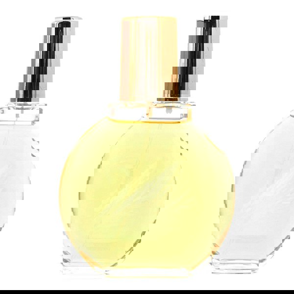 Gloria Vanderbilt Vanderbilt Eau de Toilette 100ml for Her