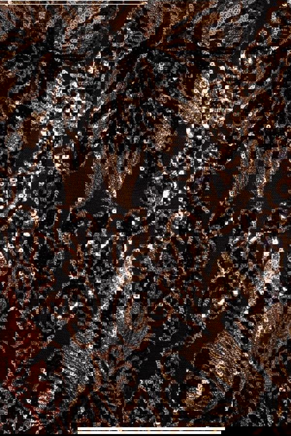 Floral Sequin Mesh Maxi - Gold DR4041