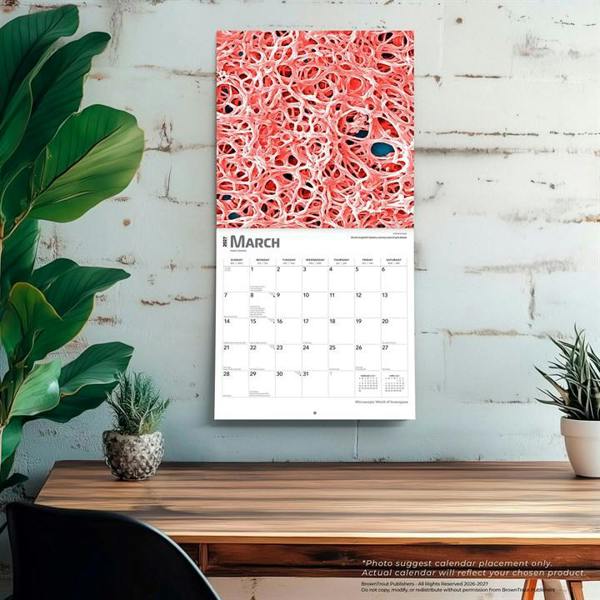 Microscopic World of Innerspace Calendar 2027, Wall Calendars, Month To View, Natural World, Gift