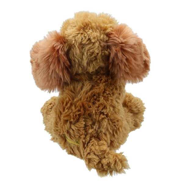 Wilberry Cockapoo (Golden) - Wilberry Favourites