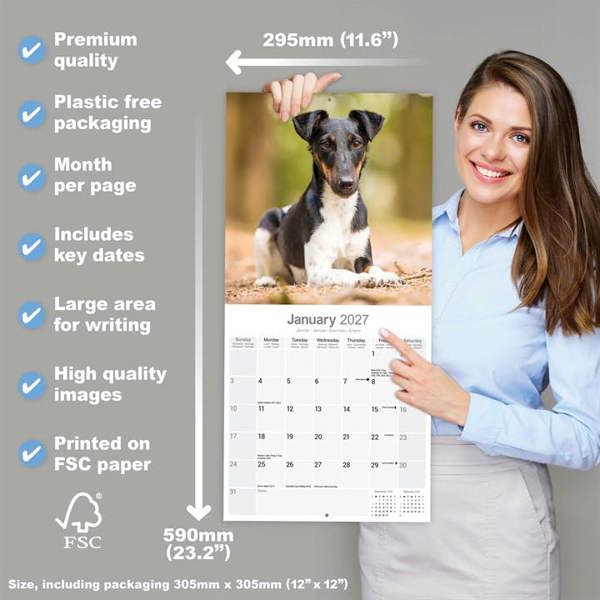 Fox Terrier Calendar 2027, Wall Calendars, Month To View, Dogs, Gift