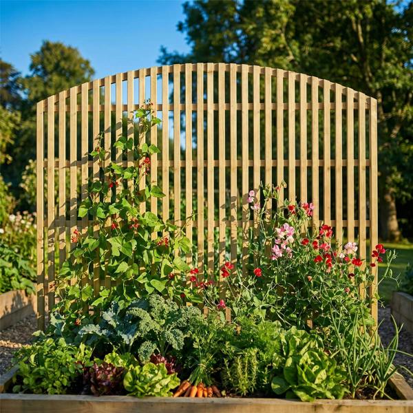 3 pack trellis premier florence [w.6ft x h.4ft] 1