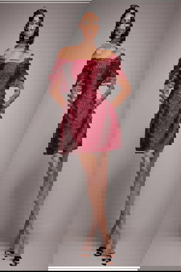 Lace Up Jacquard Mini Dress With Organza Wings - Burgundy Red DR4781