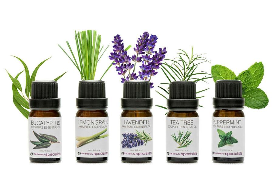 rio aromatherapy 100& essential oil collection 5 10ml bottles illustrated with images of eucalyptus lemongrass lavender tea tree and peppermint 