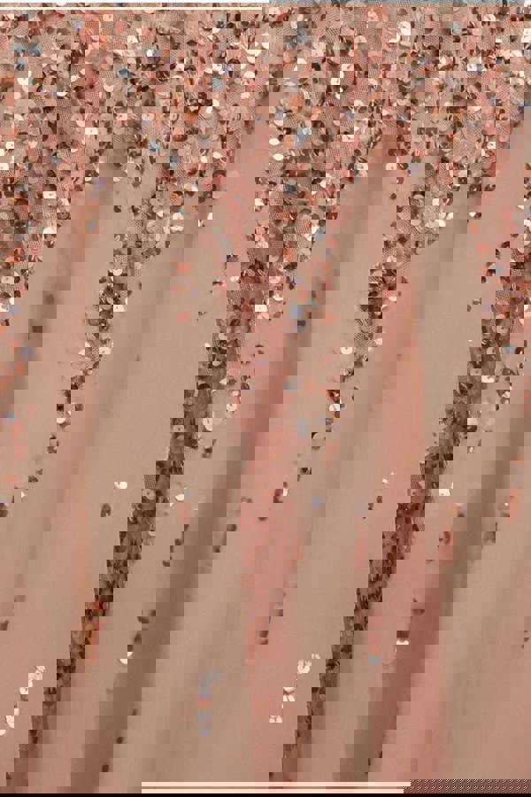 Sunray Hand Embellished Sequin A-Line Bell Sleeve Maxi Dress - Champagne DR4654