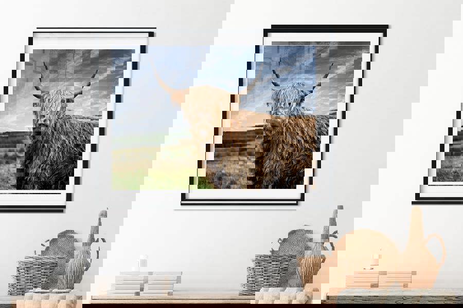 highland cow wall art print