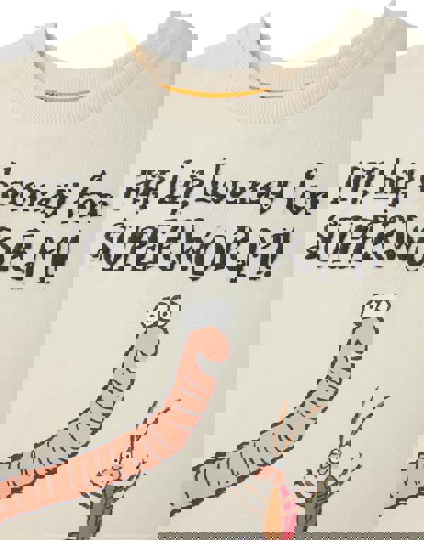 Gruffalo & Friends Superworm Unisex Kids Beige Hip Hip Hooray Short Sleeved T-Shirt