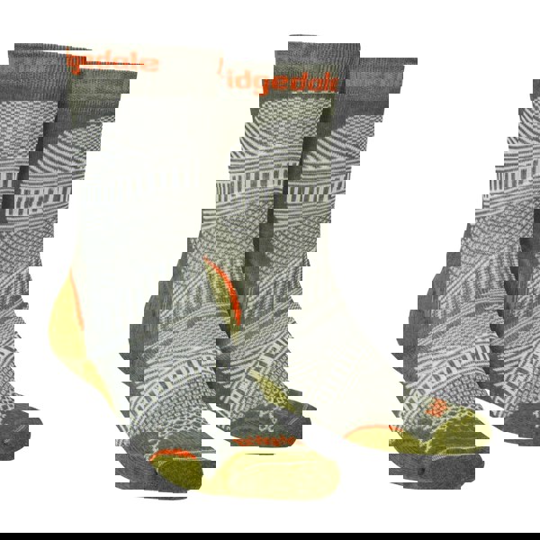 t4option1_1