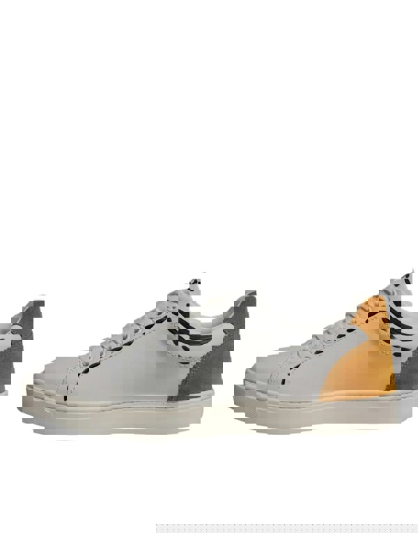 202799387.jpg
