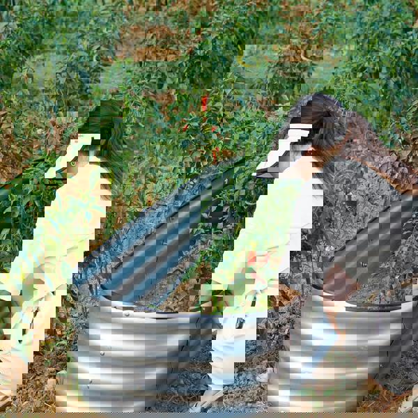 Gr8 Garden Outdoor Raised Bed Planter Oval Galvanised Steel Trough Box 120x61x30cm