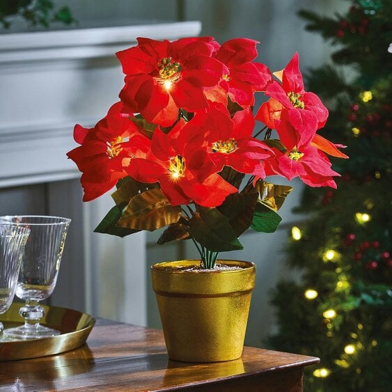 Scotts of Stow LED Poinsettia in Pot