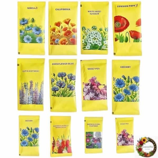Eco-friendly flower seeds gift set with pollinator-friendly mix for biodiversity