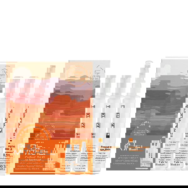 Paul Mitchell Color Protect Kit 1 ea