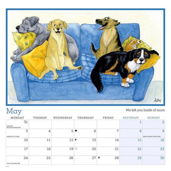 Alison's Animals Calendar 2027, Wall Calendars, Month To View, Animals, Gift