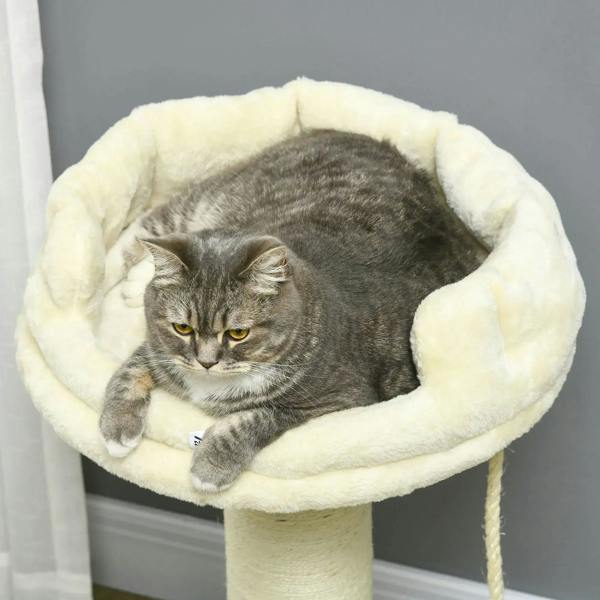 Cream round plush cat bed on top of a sisal-wrapped scratching post