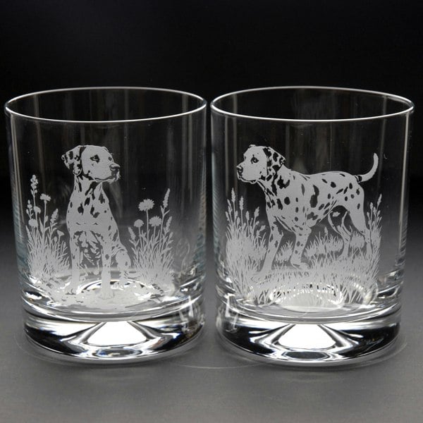 Glyptic Glass Art Dalmatian Dog Whiskey Tumbler Glass - Hand Etched/Engraved Gift