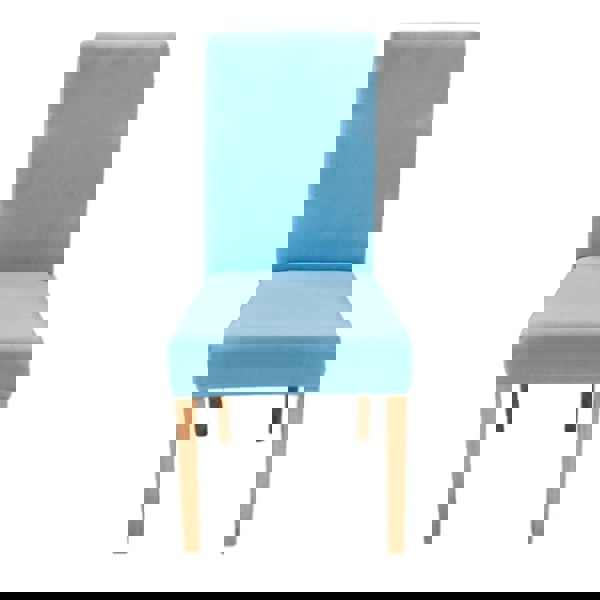 Anyseat Chair Cover Sky Blue Velvet Plush Stretch Elastic Slipcover