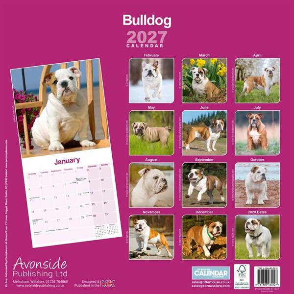 Bulldog Calendar 2027, Wall Calendars, Month To View, Dogs, Gift