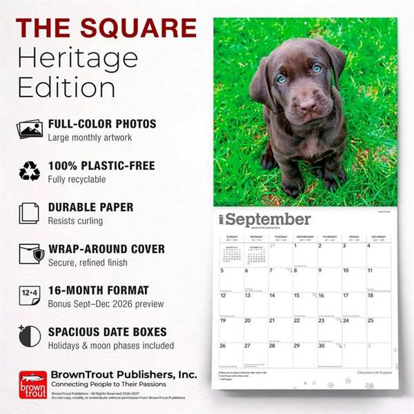 Chocolate Lab Puppies Calendar 2027, Wall Calendars, Month To View, Dogs, Gift