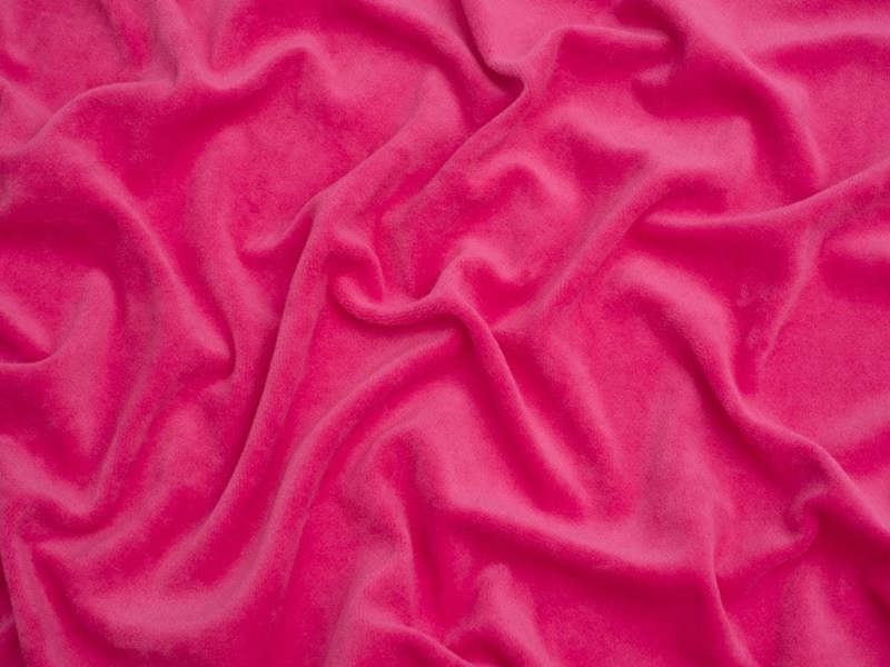 Fuchsia
