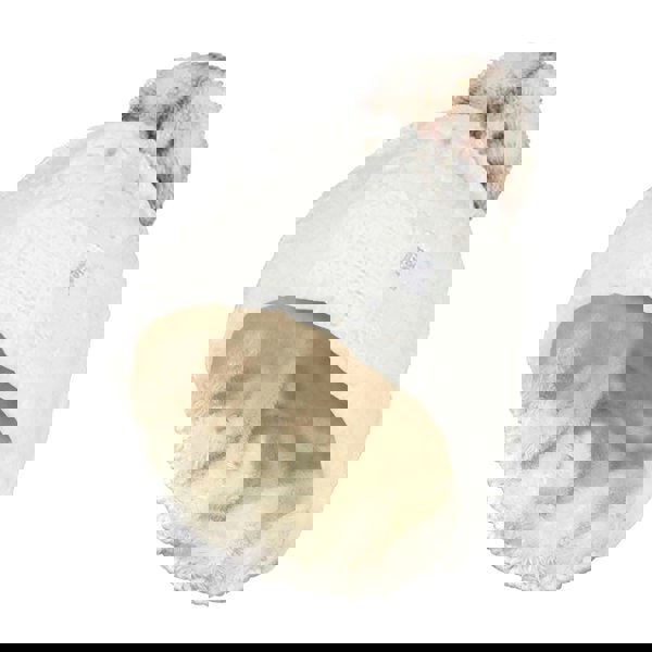 t4option1_2