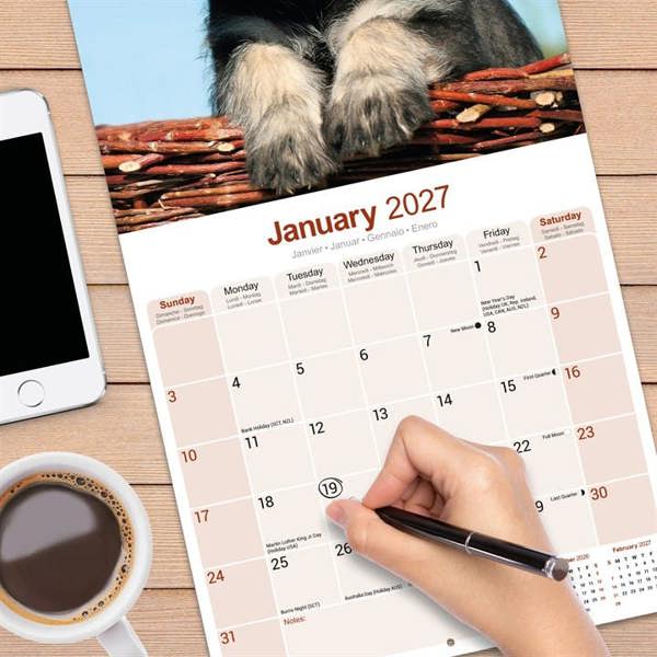 Schnauzer Calendar 2027, Wall Calendars, Month To View, Dogs, Gift