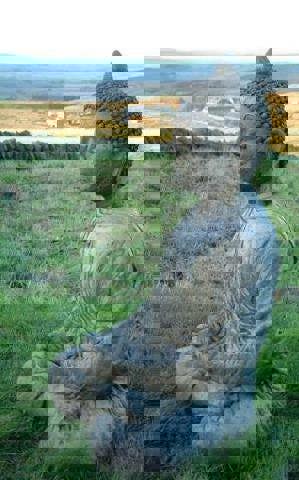 Large Meditating Buddha Garden Ornament