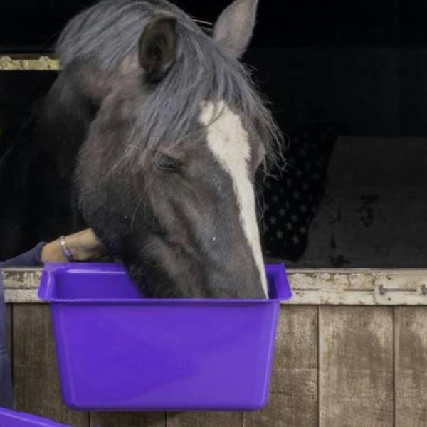 Ketoplastics Skip Feed Bucket Feeder Trough with Integrated Handles Small Skip S1-11L - Purple