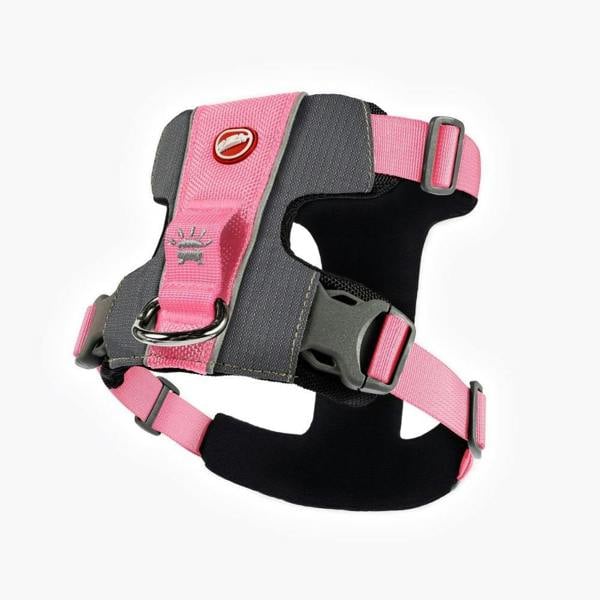 EzyDog X-Link Dog Harness in Pink